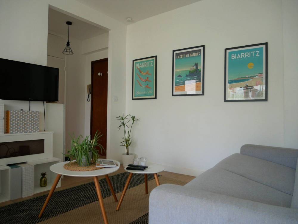 salon T2 meublé Biarritz